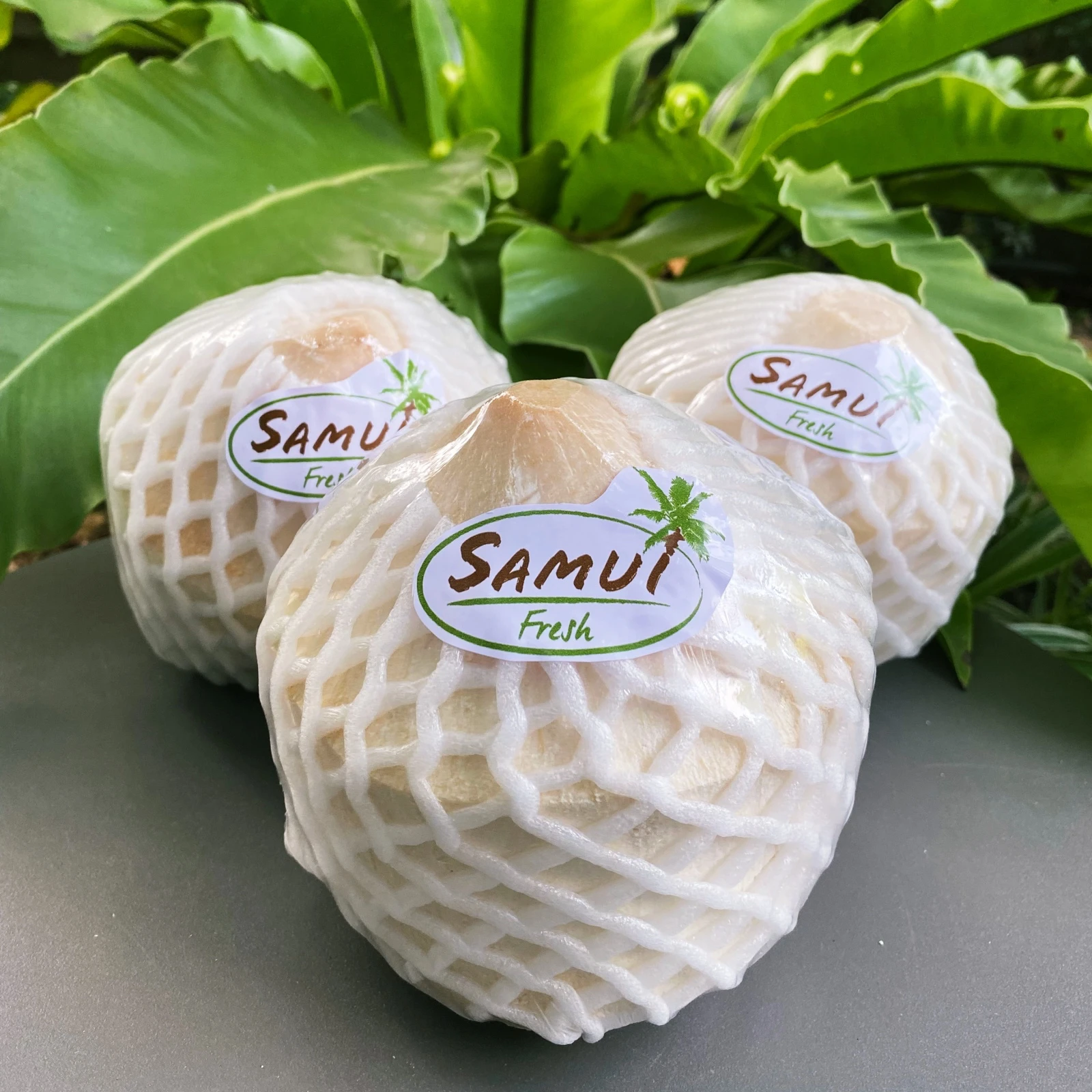 Молодой тайский кокос свежий бренд SAMUI. Фруктовый продукт осушенный кокос. Продукт Таиланда сумасшедший