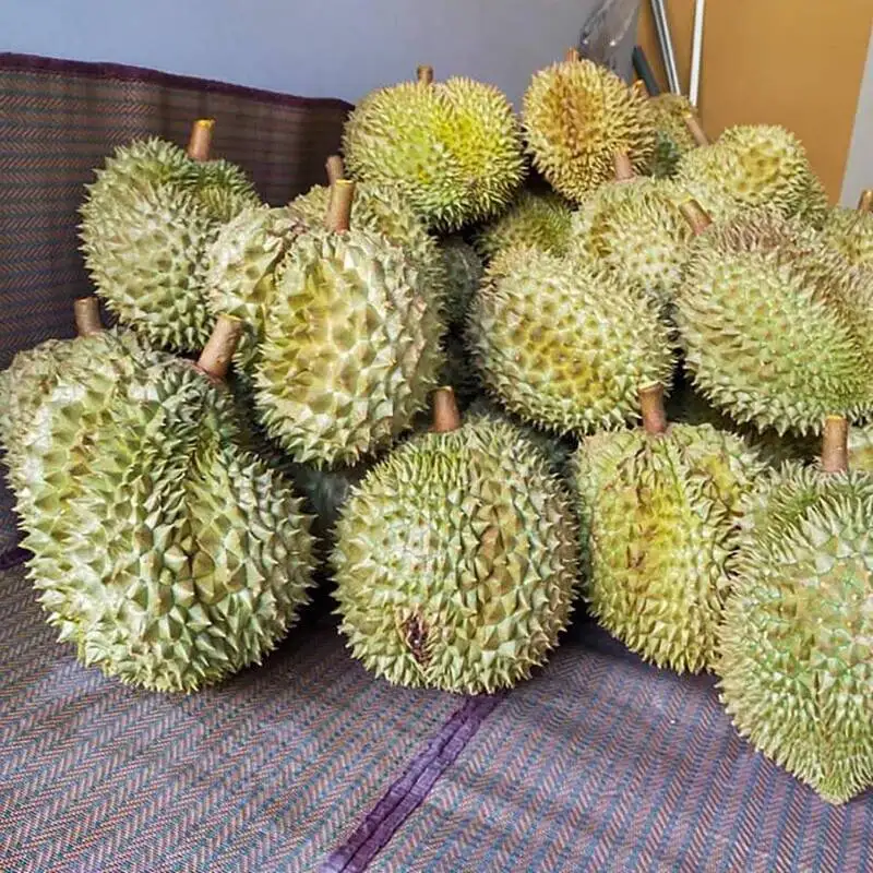 
Premium Monthong from Thailand Durian Fresh Fruit With High Quality 