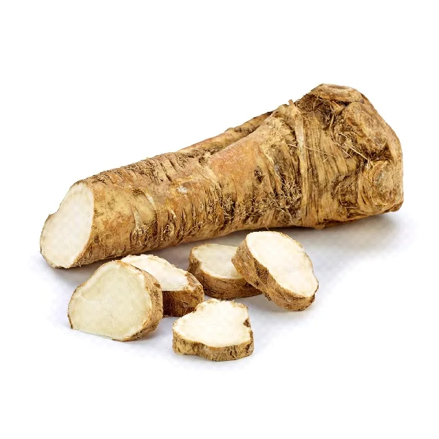 Organic Horseadish Dried Organic Wholesale Hot Wholesale Hot Food Seasoning  Whole Single