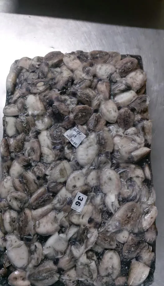 Замороженная морская рыба, свежая морская рыба, морская рыба