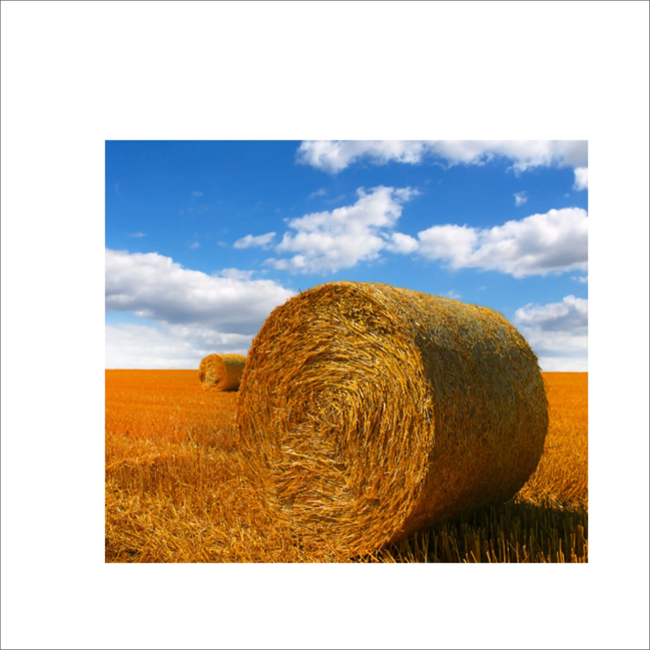 Родовая трава для животных