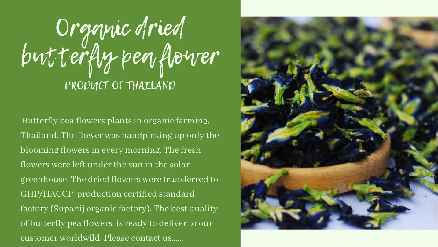 Supanij Organic Dried Butterfly Pea Flower Grade A Best Quality from Thailand for 100% Export Wholesale Top OEM