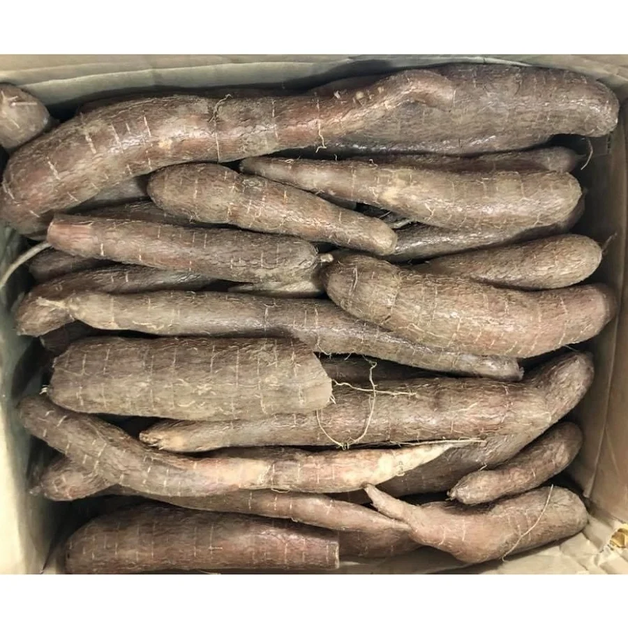 
Wholesale Dry Slice Natural Cassava from Vietnam 