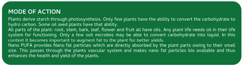 Screenshot (1258).png