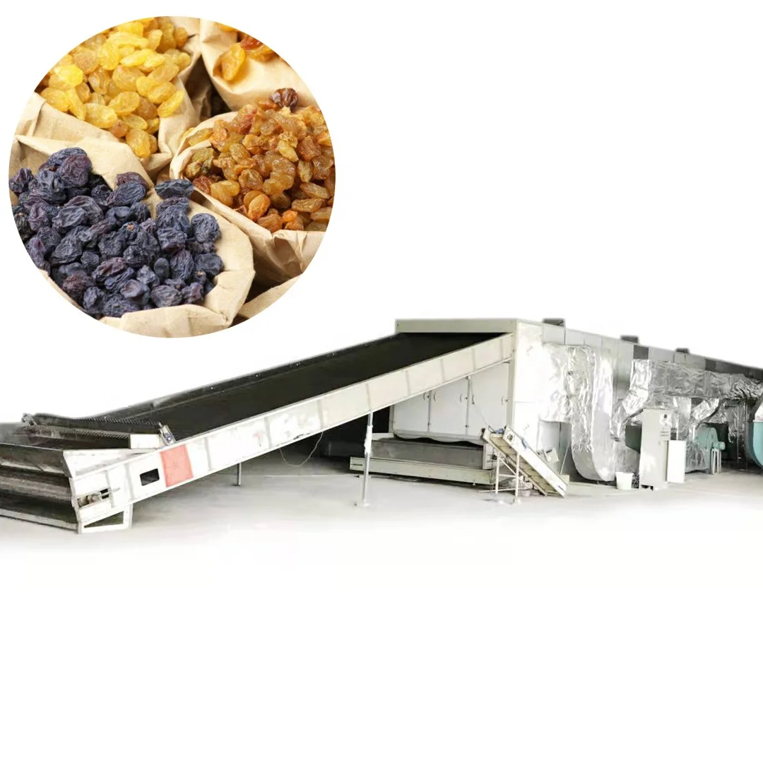 1.5 ton/h stainless steel  raisin  drying machine  with  continuous belt grape dryer machine for industrial fruits dehydrator