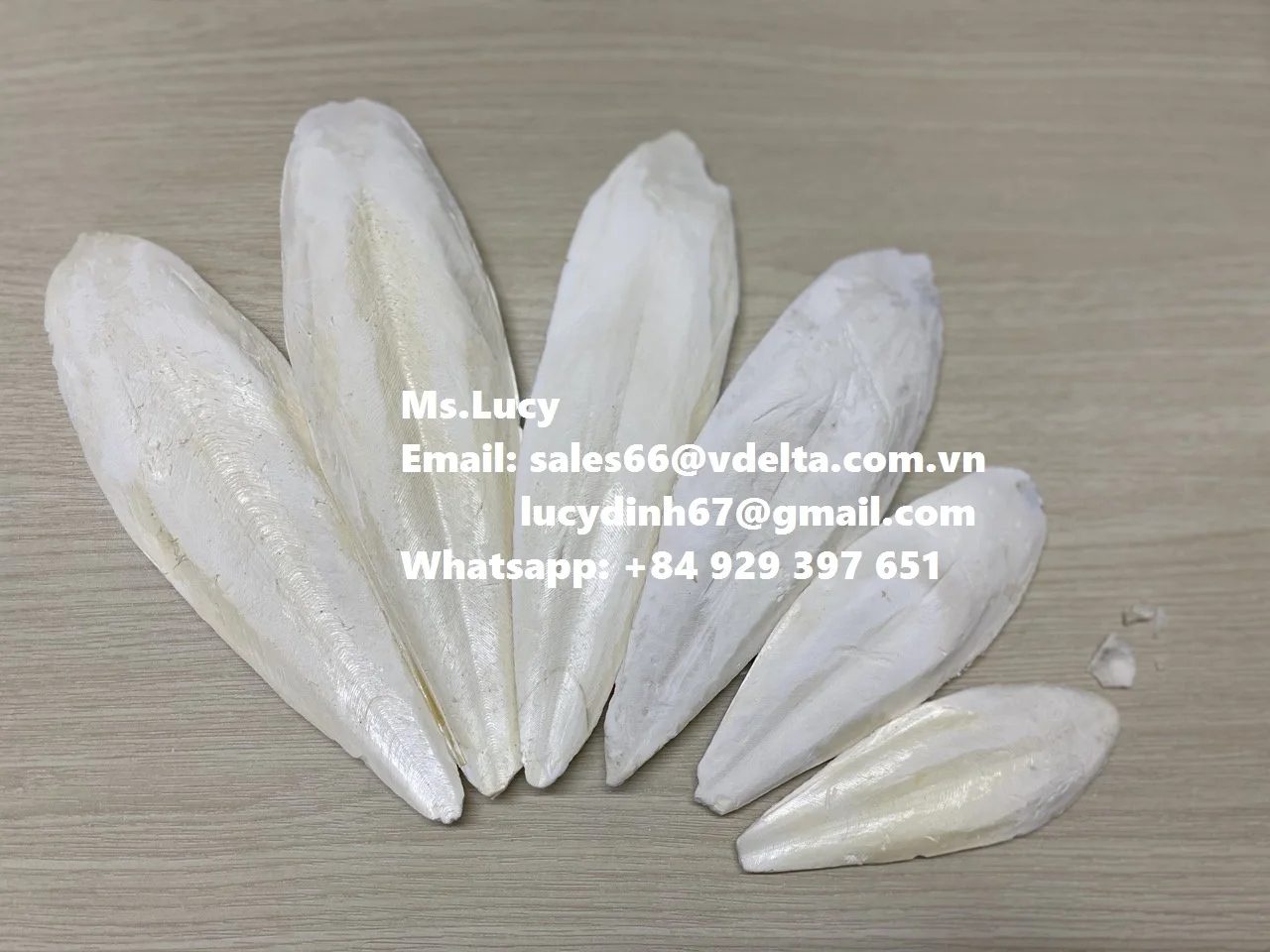  Минералы и кальций для животных/Высококачественная косточка Для морской слепки из Вьетнама мисс Люси + 84 929 397 651