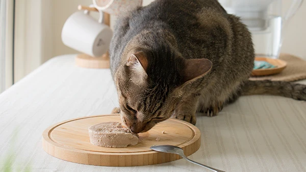 Delicious Chicken and Beef Wet Cat Canned Food