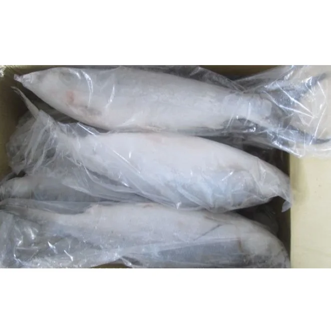 Indonesia Chanos Chanos Frozen Milk Fish Whole Round with IQF Freezing 18 Months Shelf Life Various Sizes 10kg/ctn