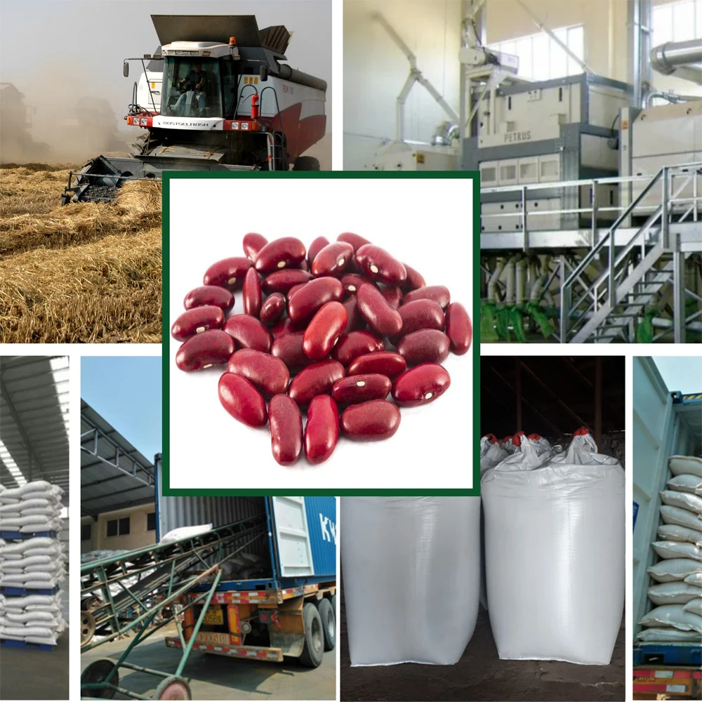 Красная фасоль Премиум-Качества, 25/35 кг в пакетах или оптом, оптовые цены