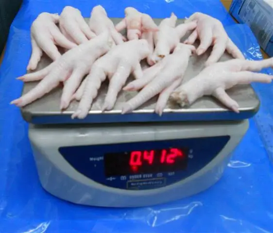 
Bulk Chicken Feet Best Price 