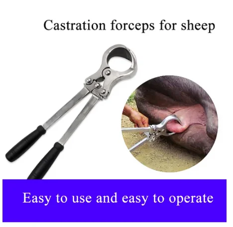 Плоскогубцы из нержавеющей стали для кастрации овец и коз
