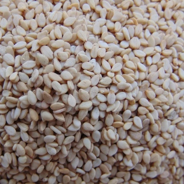 SORTEX CLEAN 99.95 % PURITY SESAME SEEDS UN HULLED PRICE