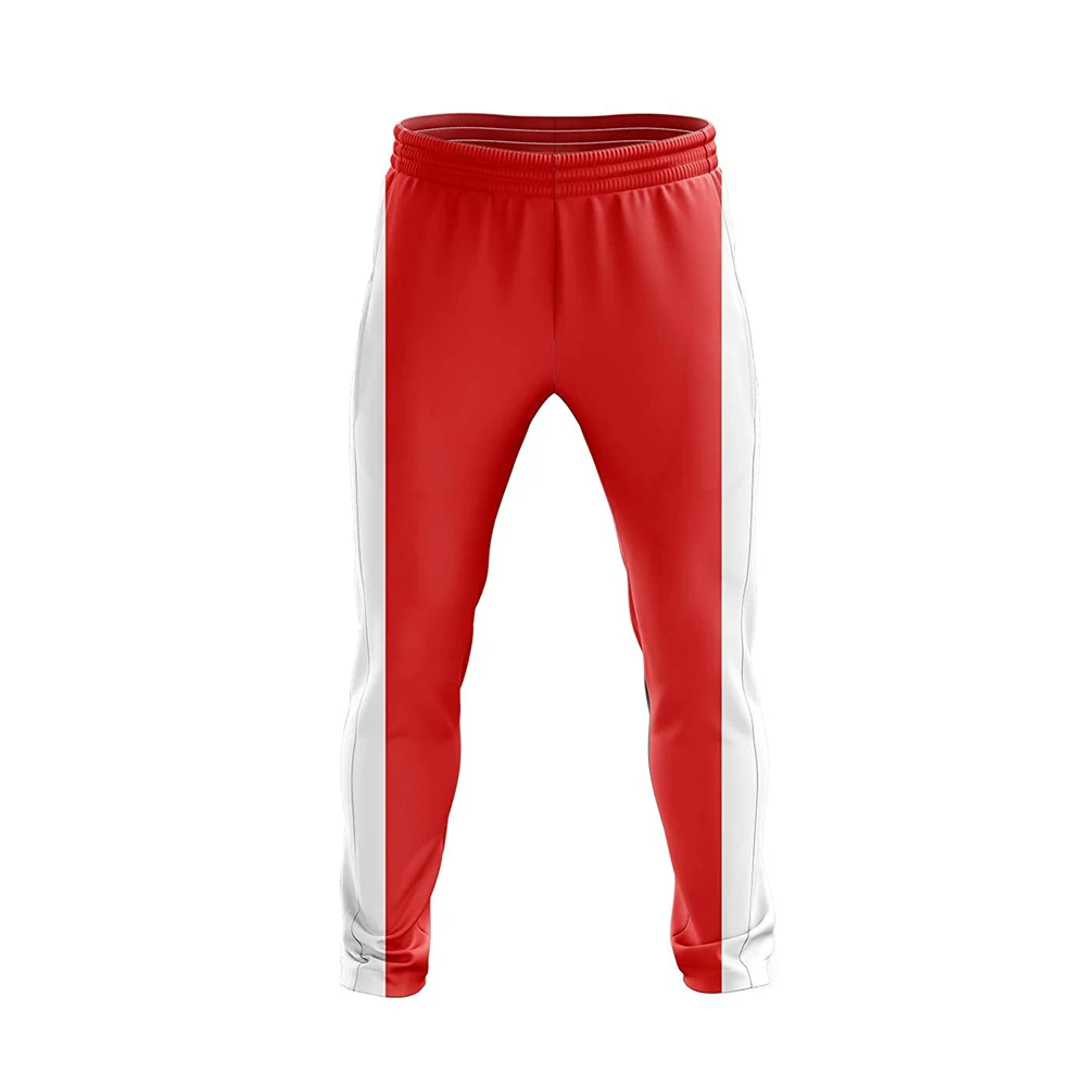 New fashion design 100% polyester cotton custom sports t shirt designs cricket team jersey/cricket jersey pattern