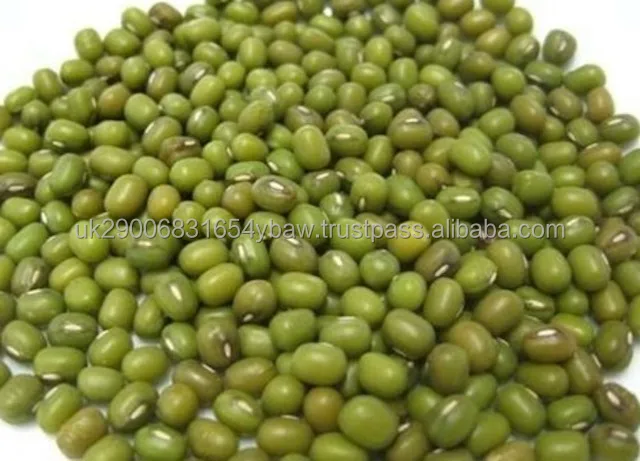 Green Mung Beans 2.jpeg