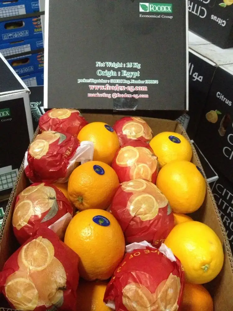 Fresh orange fruit price