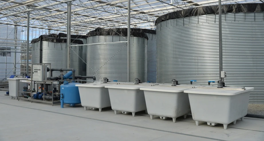 Good quality industrial film greenhouses for all-year vegetable and fruit growing, greenhouse metal frame