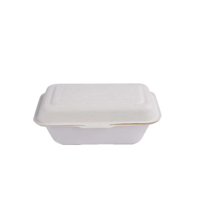 600ml Biodegradable Sugarcane Bagasse Food Container Takeaway Disposable Bento Box