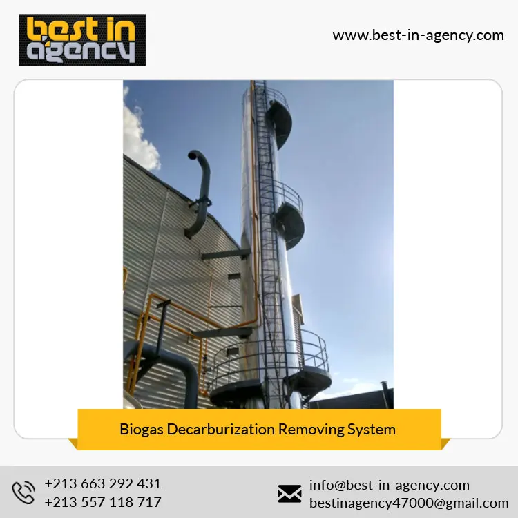 Natural Gas Water Removal Biogas Purify Decarburization/CO2 Removing System Manufacturer