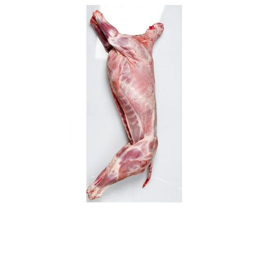 Organic wholesale frozen halal lamb/mutton  from Kazakhstan