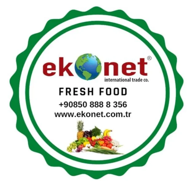 Fresh Basil Bulk High Quality from Turkey Wholesale Green Color Flat Leaf 2022