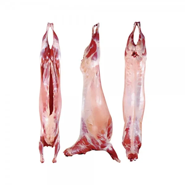 HALAL FRESH / FROZEN GOAT / LAMB / SHEEP MEAT