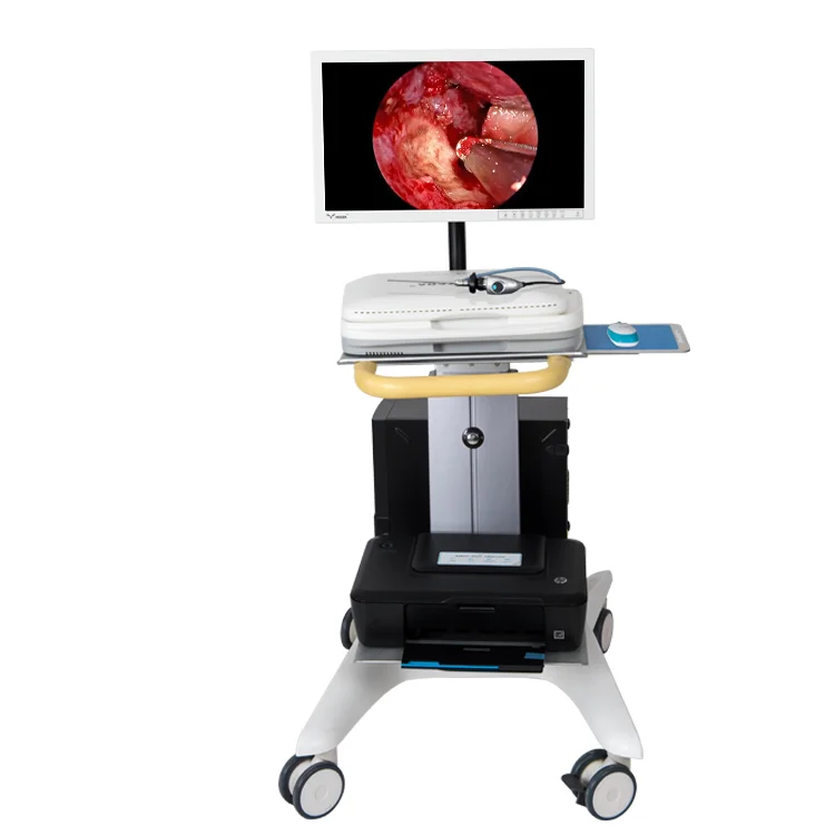 15 inch HD medical endoscope portable endoscope camera