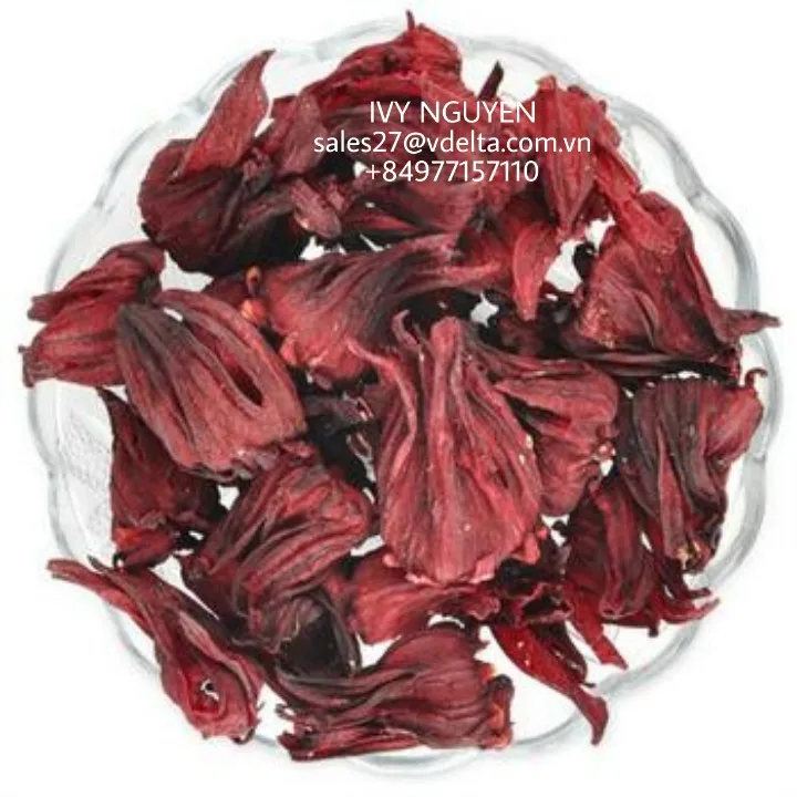 BEST PRICE HIBISCUS FLOWERS GOOD FOR HEALTH/ RED ARTICHOKE - Ivy +