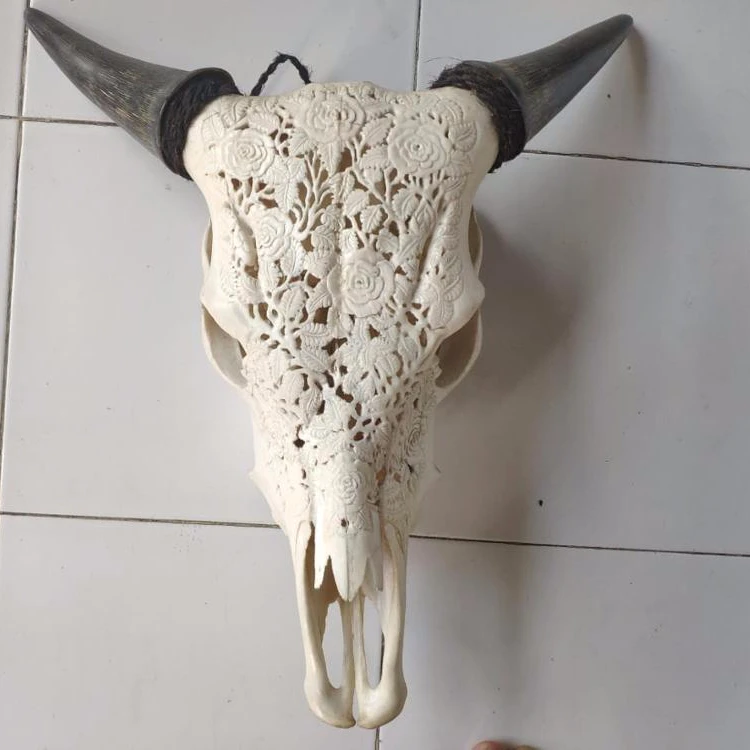 real animal skull cow head hand carved 100% in stock mixed design