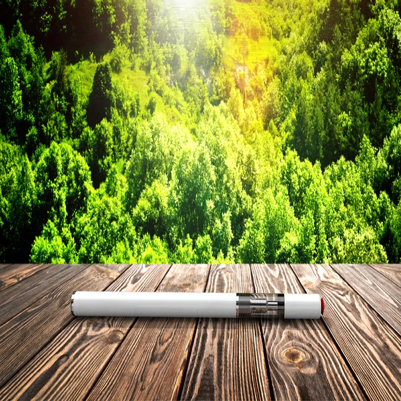 Изготовленный На Заказ самый лучший Электрический кварцевый катушки vape дыма cbd Одноразовые воск ручка