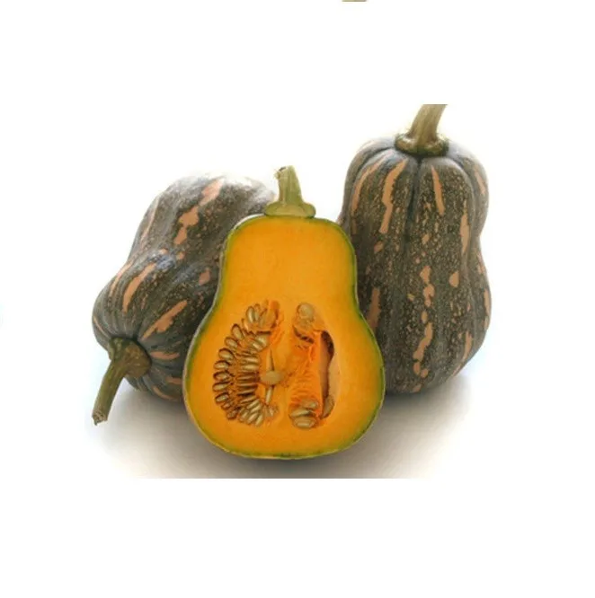 
Providing fresh Pumpkin pumpkin price from Vietnam with top quality _Vikafoods (+84983028718) 