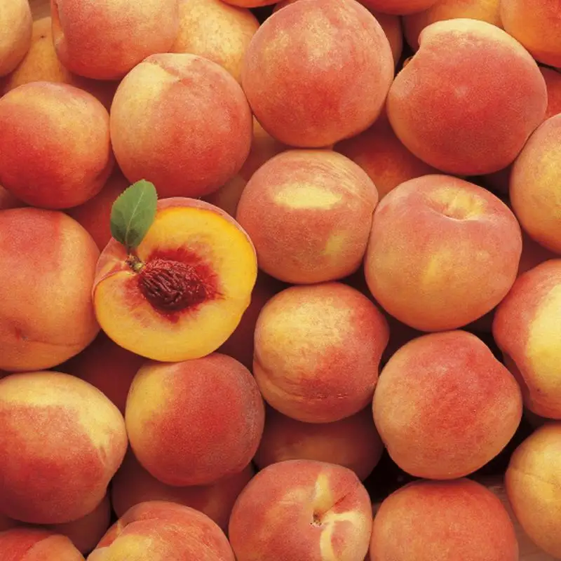 
Fresh Red Sweet Peaches 