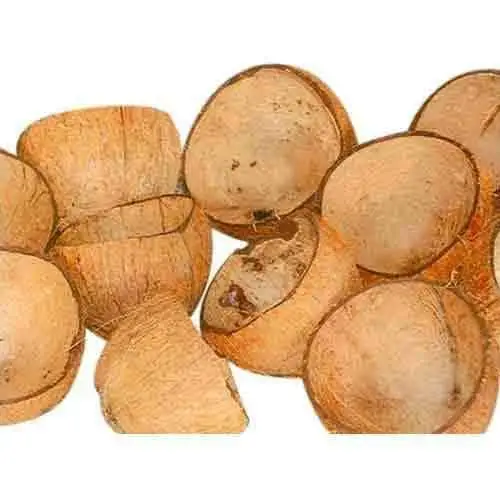 BEST QUALITY COCONUT SHELL