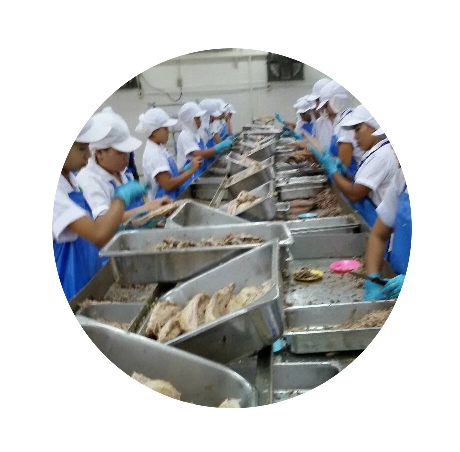 Canned Tuna with chilli , Canned tuna spicy