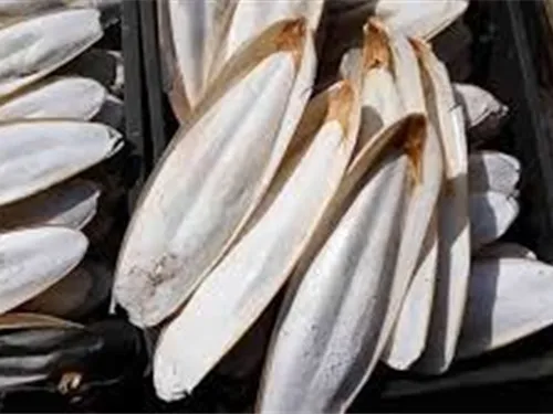 % 100 сушеные Каракатица кости-кальциево-богатые пищевые катля рыбы BONE100 натуральный шелк/Ms Деми + 84 961 733 400