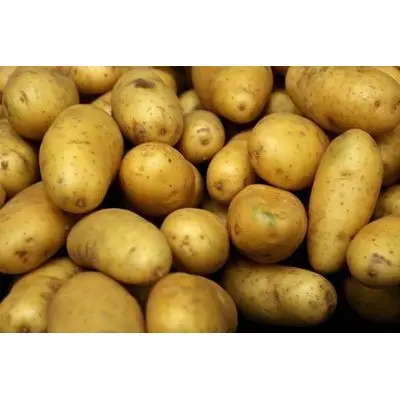 
Fresh Potatoes 