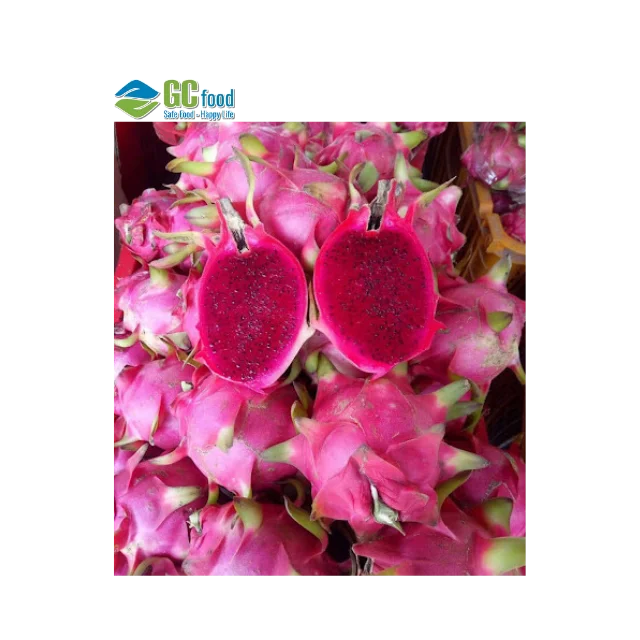 Best Price Red Fresh Dragon fruit - 100% Natural Sweet made in Viet Nam