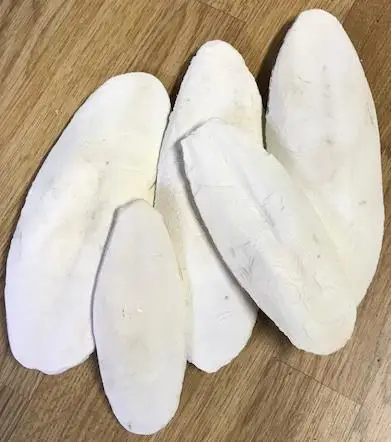 
Cuttle Fish Bone / Dried Washed Cuttle Fish Bone For sale 