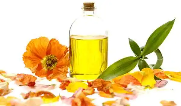 Best Quality Supplier Camellia Oil For Sale In Cheap Price
