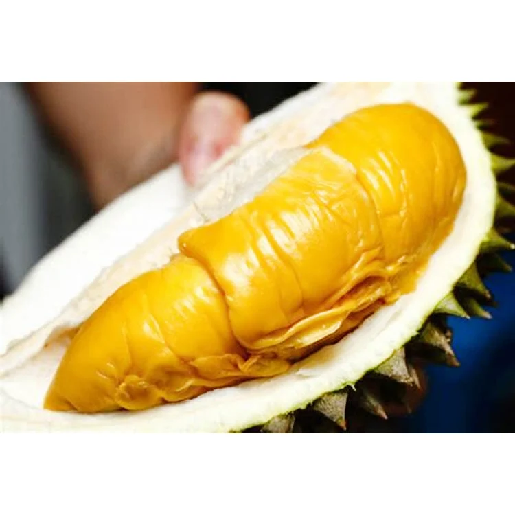 Malaysia Farm Best Delicious Creamy Soft Sweet Flesh Organic Musang King Durian Pulp King Fruits Fast Delivery