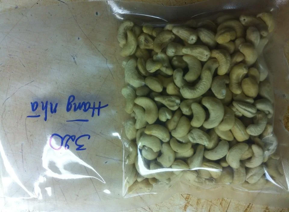 Export Cashew Nut Kernels Ww180, Ww220, Ww240, Ww320, Ww450 0 - origin Vietnam - Best Quality
