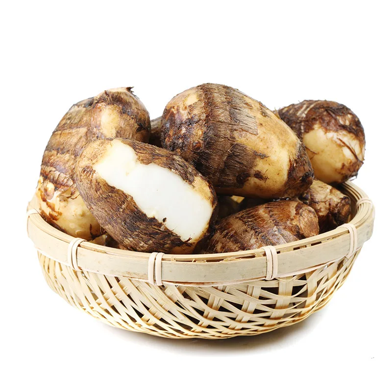Fresh quality taro , fresh eddo good price