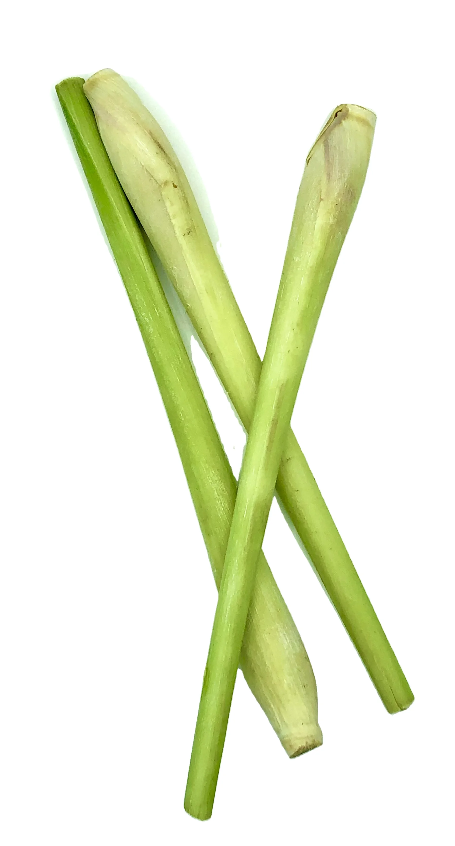 Premium Fresh Herb Lemon grass Flavorful Healthy Seasoning from Thailand