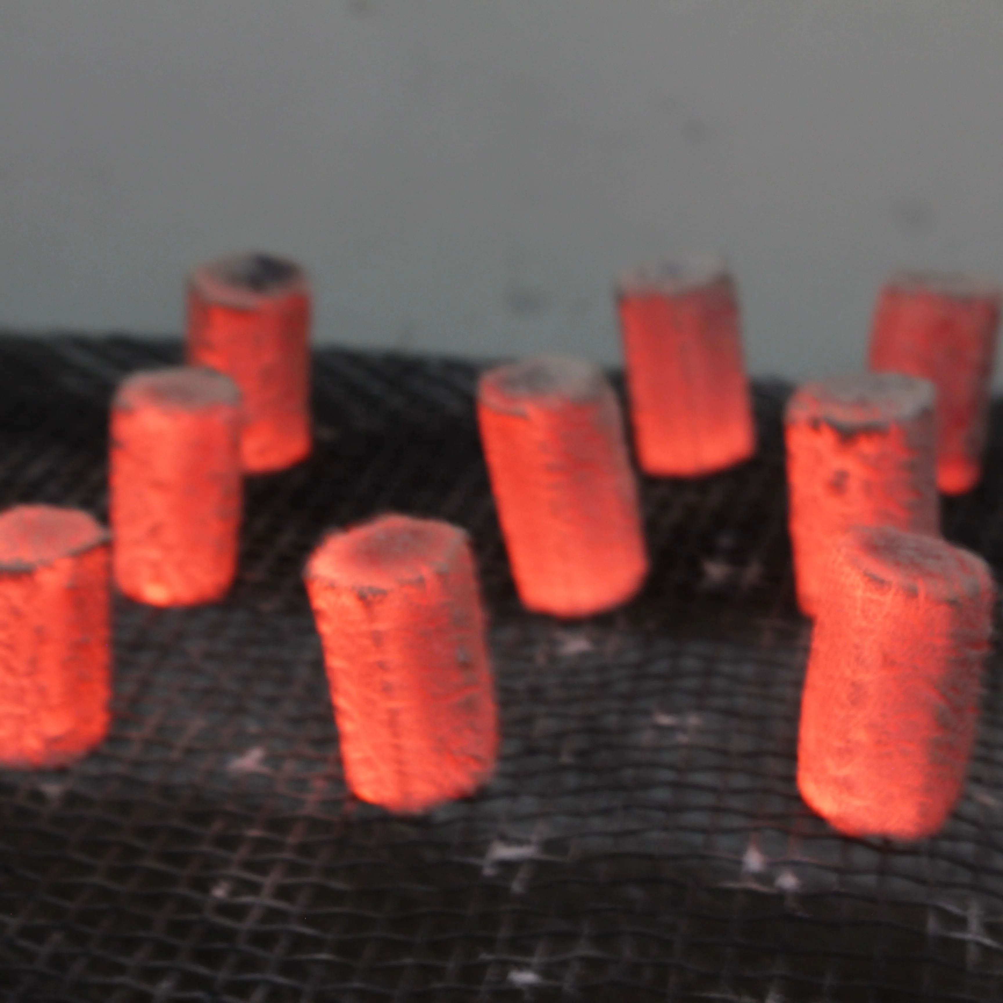 Indonesia Coconut Shell Briquette Hookah hisha BBQ Charcoal