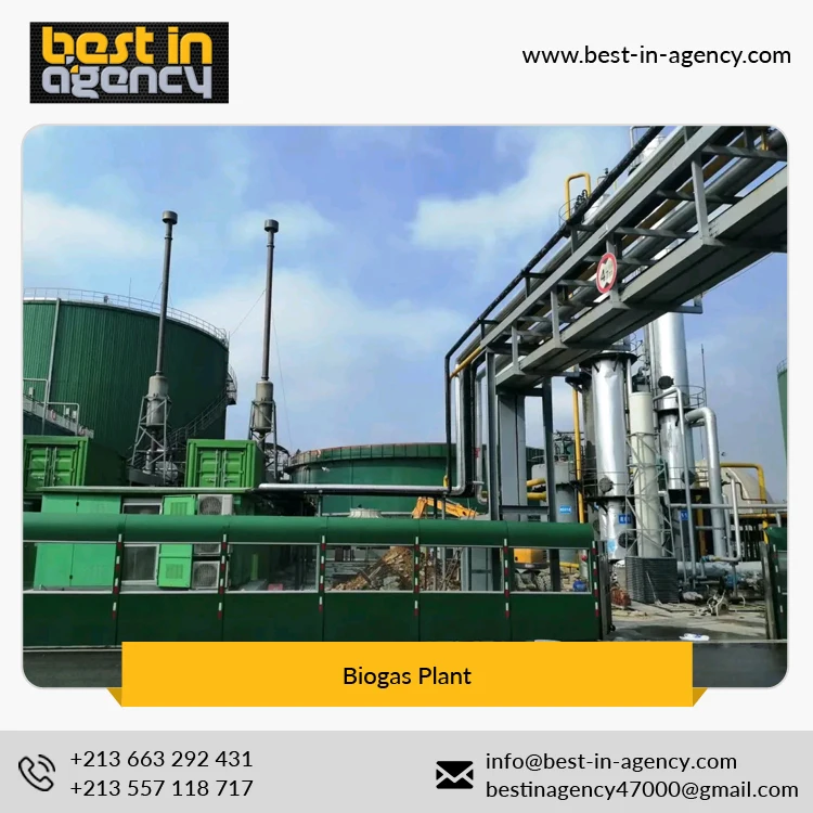 
20000 Nm3/Day Biogas Production Project with Cstr Anaerobic Digestion Tank Biogas Plant 