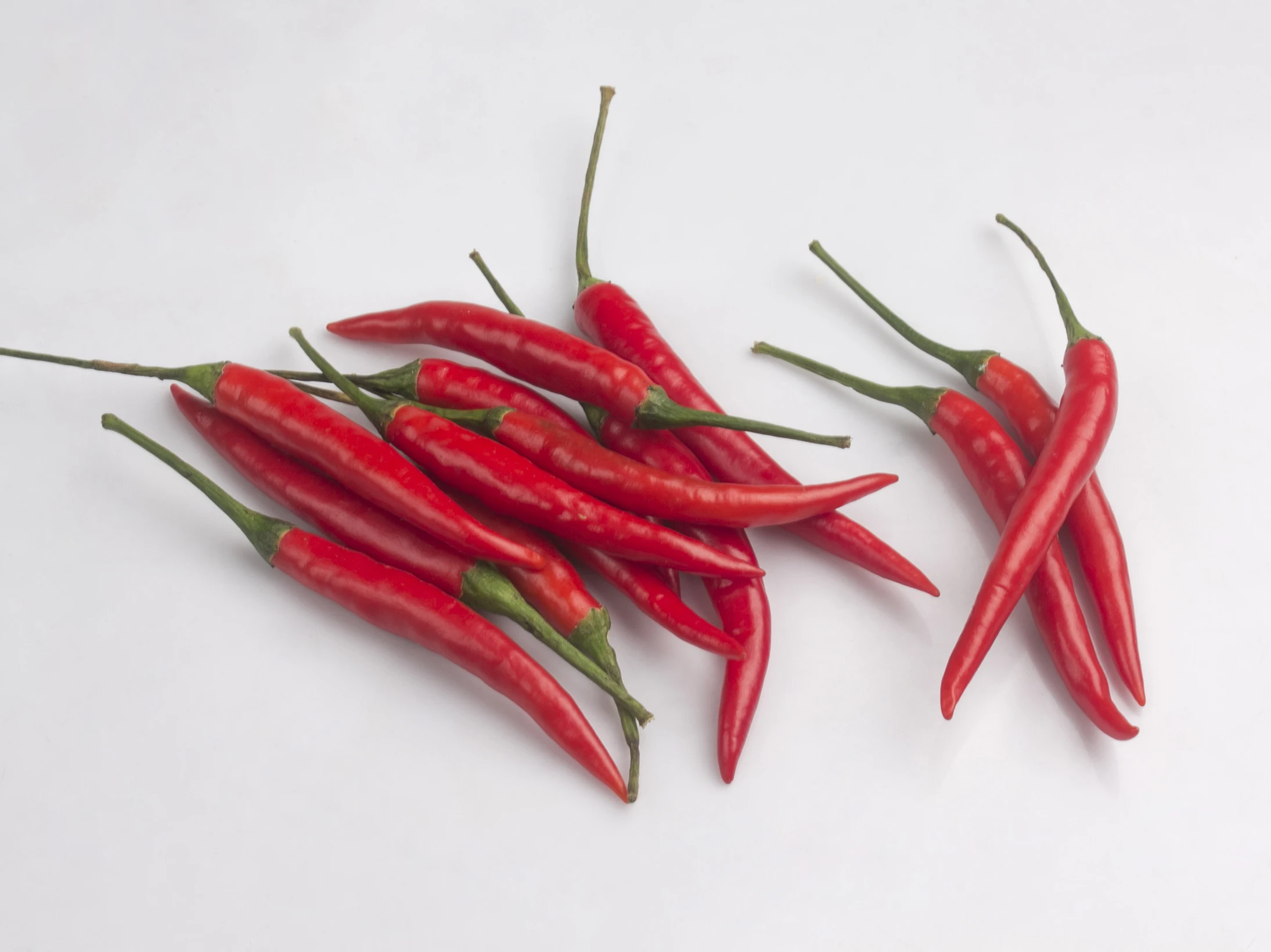 
Fresh Red Chilli Spicy Delicious in Ogenic Farm HACCP , GMP Premium Quality from Thailand for 100% Export 