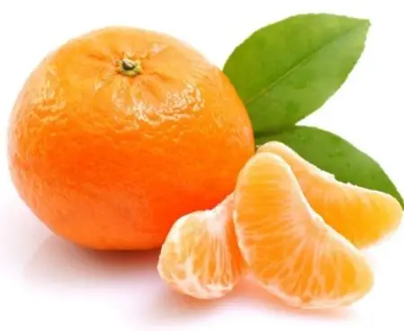 BesFresh Tangerine Turkish Mandarin Manufacturer Ready to Export over 55 mm BEST PRICE 2021 Satsuma No Seed