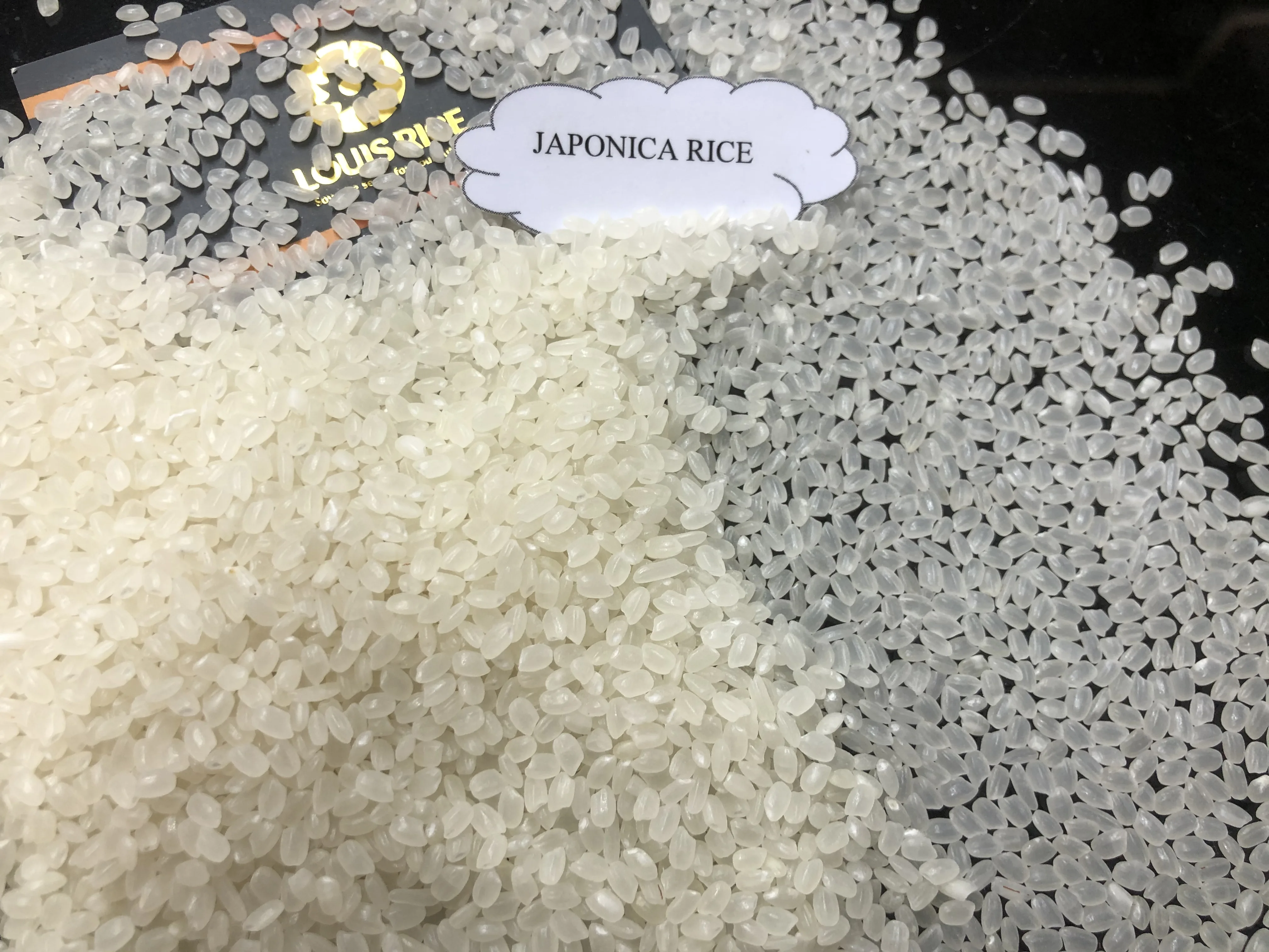 
Good price Japonica rice 5% broken high quality made in Vietnam 