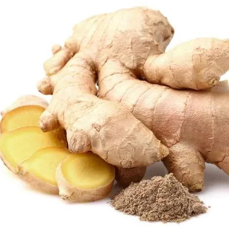  Пряный Вьетнам высокое качество-свежий имбирь по хорошей цене Урожай 2021