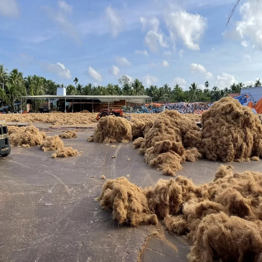 100% Organic Palm Fiber Coconut/Coco Fiber