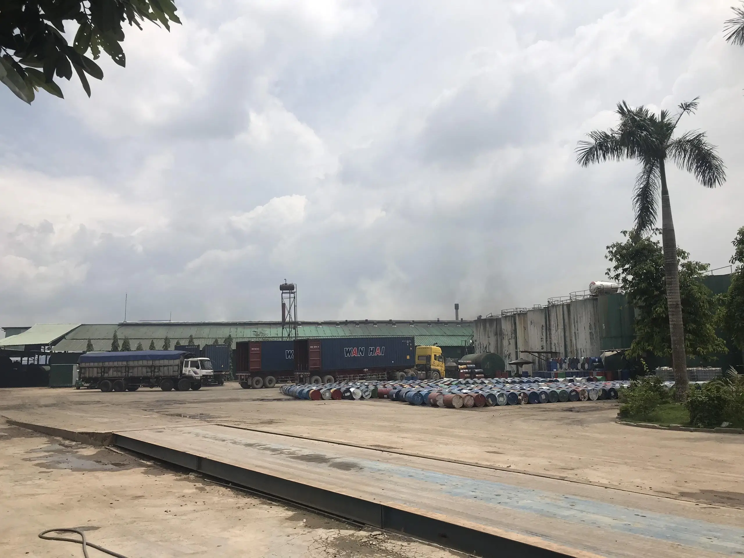 
Cashew Oil For Biofuels/ Cashew Nut Shell Liquid CNSL Vietnam Product 